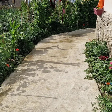 Vajze Holiday home