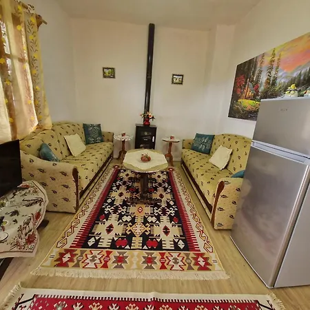 Vajze