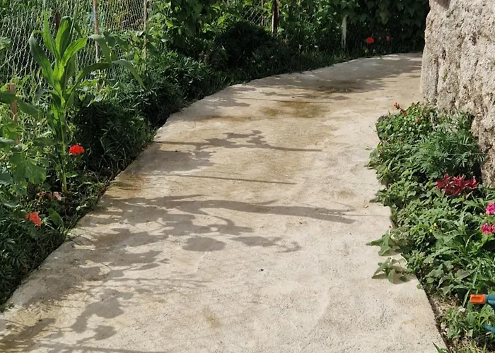 Vajze S,kasaj Holiday home