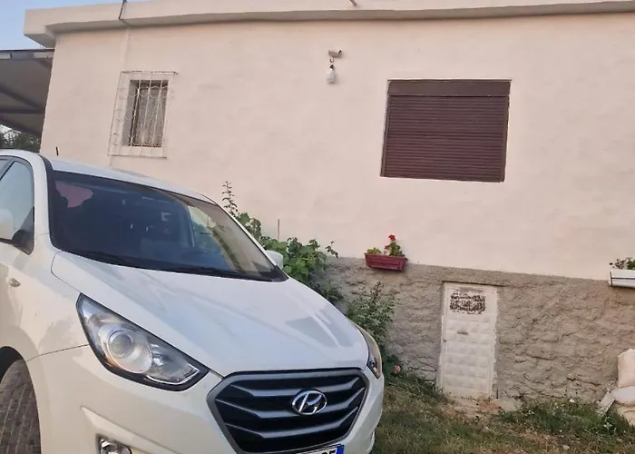 Vajze S,kasaj *